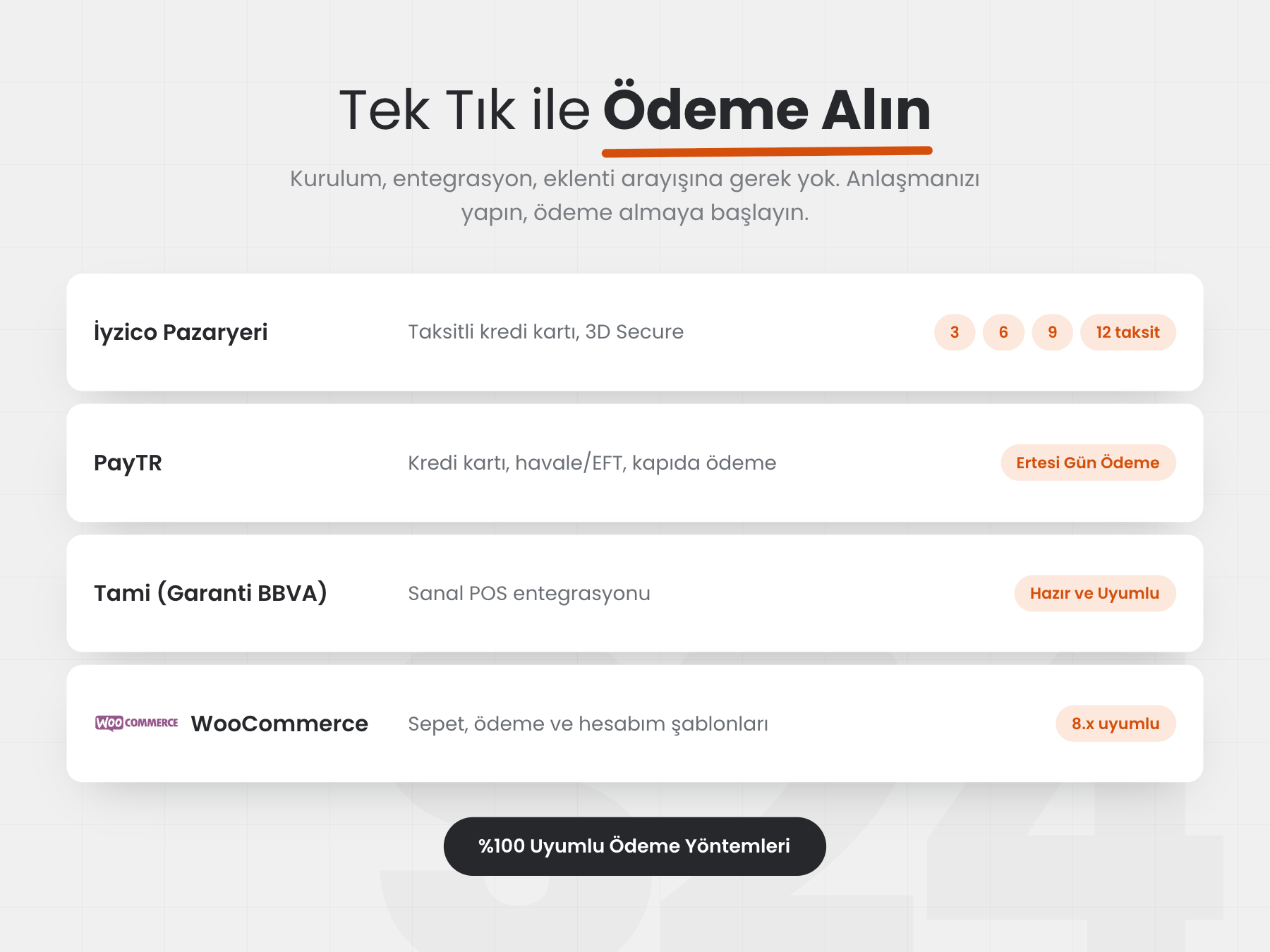 WordPress Pazaryeri Teması — WordPress-Pazaryeri-Temasi-13